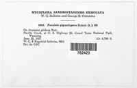 Image Associated With the Occurence